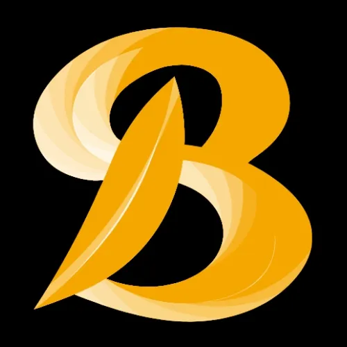 Bitmax Logo Designed by Sevolation